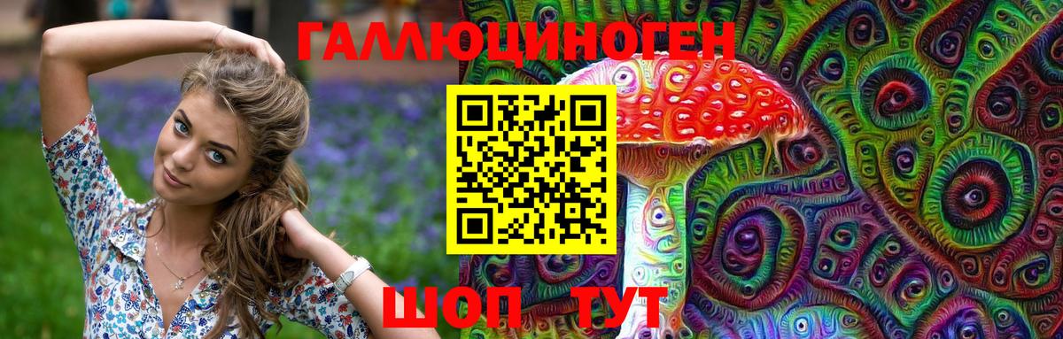 Чехов  купить наркотики сайты  Вход с VPN  Псилоцибиновые грибы мицелий  Псилоцибиновые грибы Cubensis 